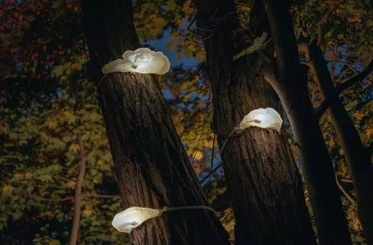 HUBY – wyjątkowe lampy przystosowane do przestrzeni leśnej