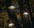 HUBY – wyjątkowe lampy przystosowane do przestrzeni leśnej