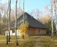 Mushroom house surrounded by forest
