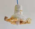 lamp made of mushroom
