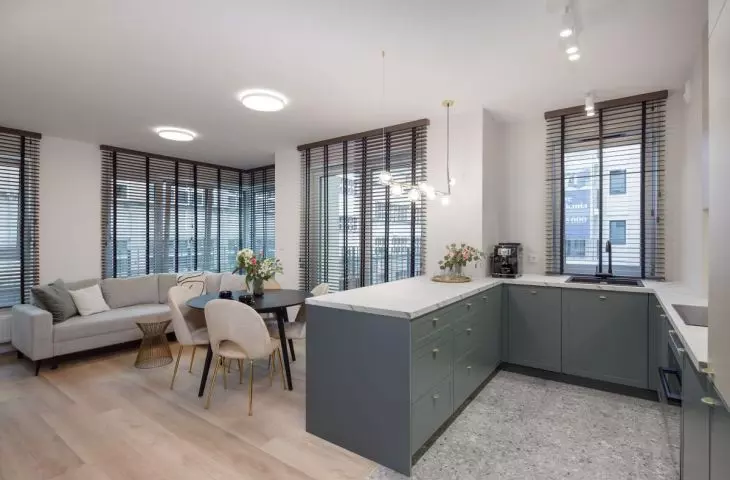 Living room and kitchen