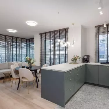 Living room and kitchen