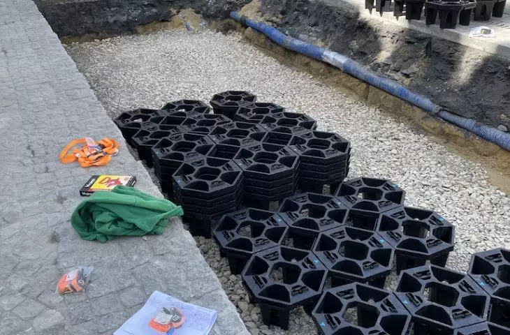 Instalacja rozwiązań pozwalających na utrzymanie lepszego stanu drzewa w przestrzeni zabudowanej