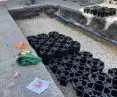 Installation of solutions to maintain better tree condition in built-up area