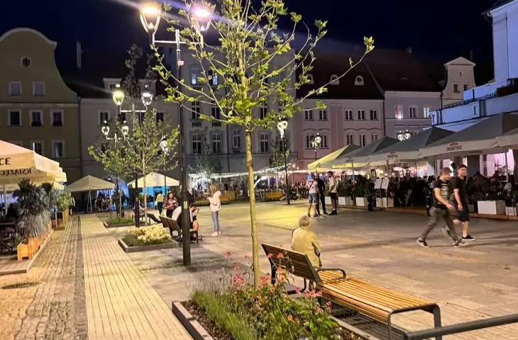 Dodatkowe zadrzewienia na rynku w Gliwicach 