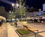 Additional tree plantings in Gliwice town square 