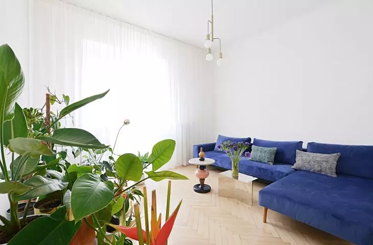kolorowy akcent salonu tworzy niebieska kanapa