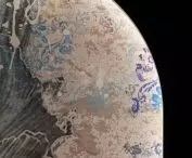 Wallpaper detail