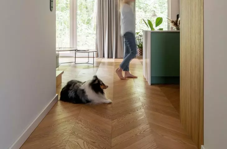 View of living area, terrazzo corridor 
