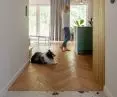 View of living area, terrazzo corridor 