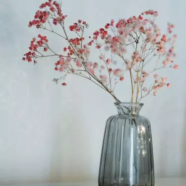 Dried flowers as home decoration