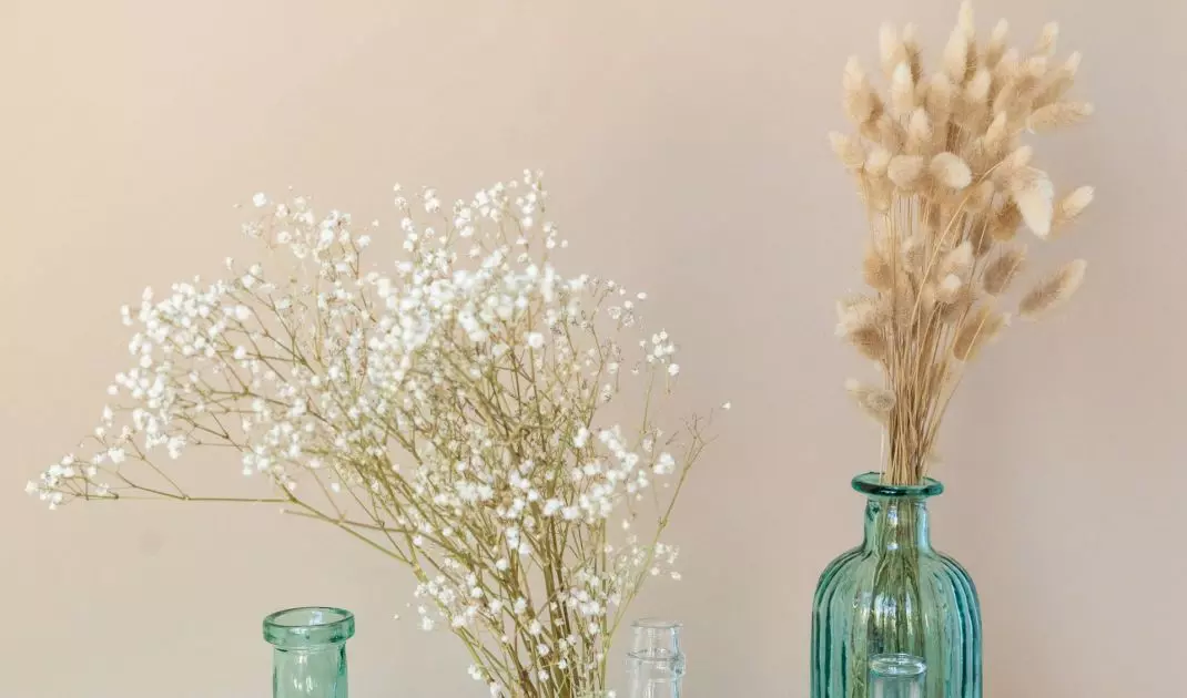 Dried flowers as home decoration