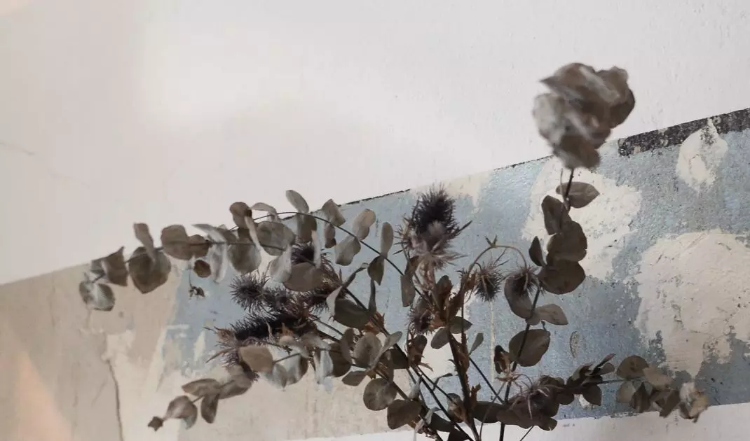 Dried flowers as home decoration