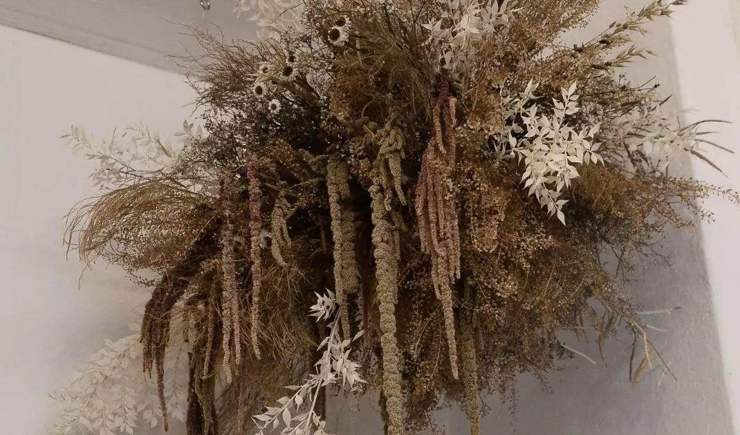 Dried flowers as home decoration