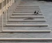 Projekt jest minimalistyczny