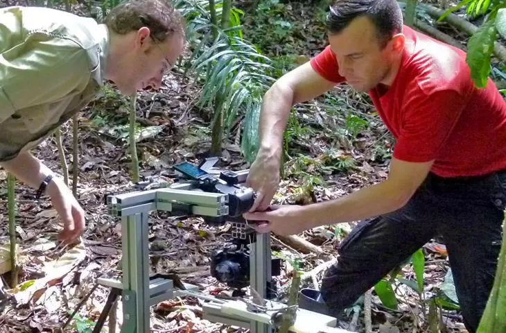 Matthew Lutz (z prawej) i Chris Reid (z lewej) podczas badań nad zachowaniem mrówek legionistek, Panama