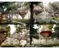 Nagroda Główna, proj.: „Lanterns in the woods”