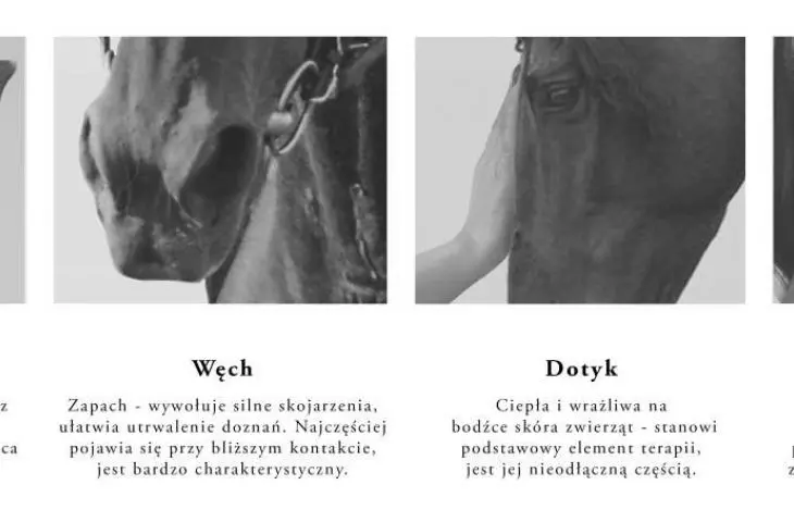 inspiracje