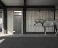 visualization