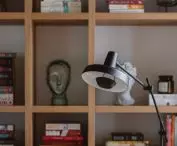 Bookcase for books and ornaments in the living room