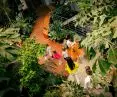 More than 150 plant species have been placed in the garden space