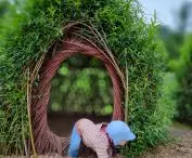 Use of willow 