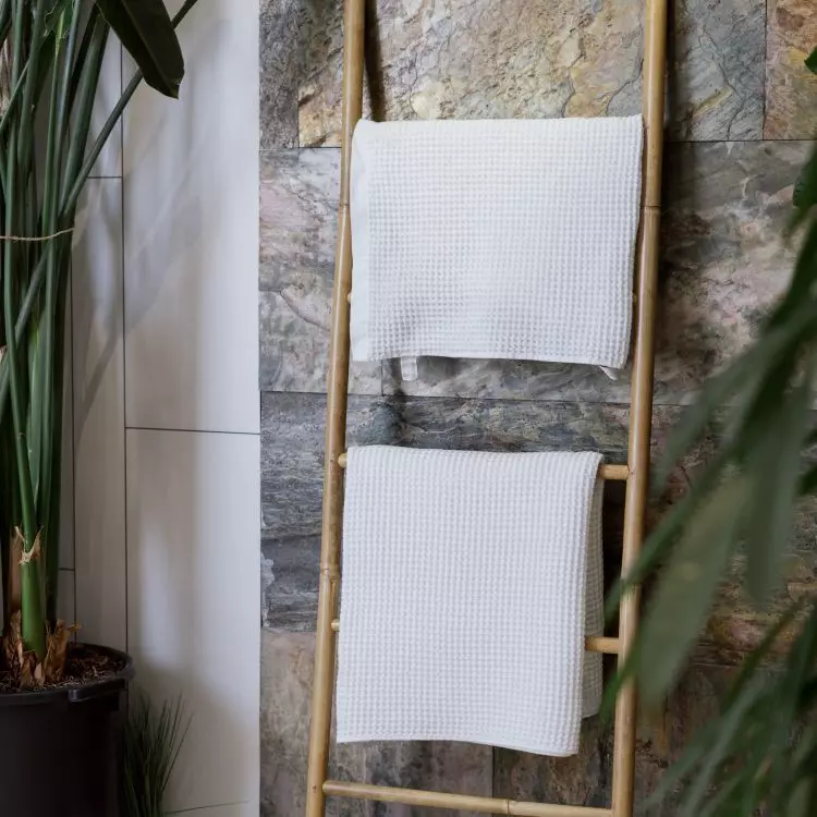 Ladder type stand