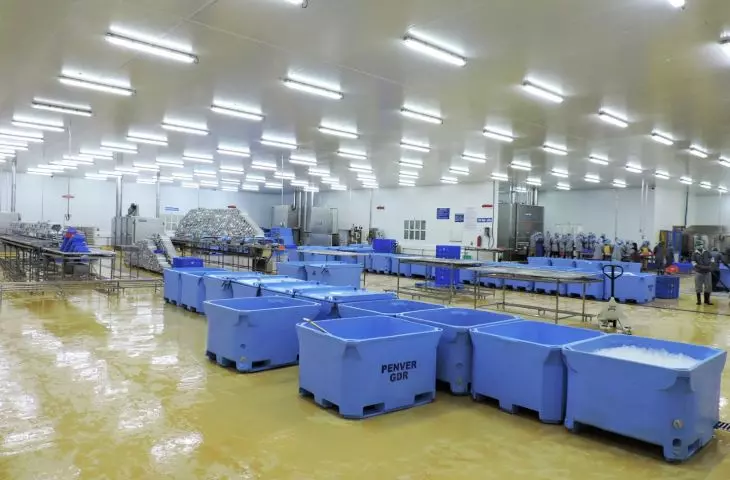 Flowcrete Flowfresh Floors