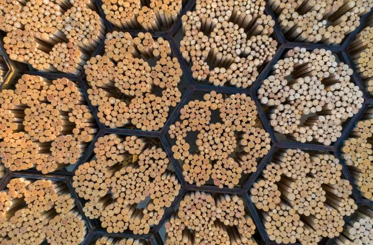 Xylem, pawilon projektu Francisa Kéré dla Tippet Rise Art Center, Montana, 2019