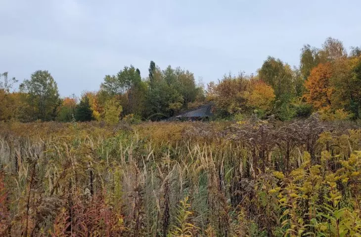 Former Szyc Stadium in Poznań, October 2022.