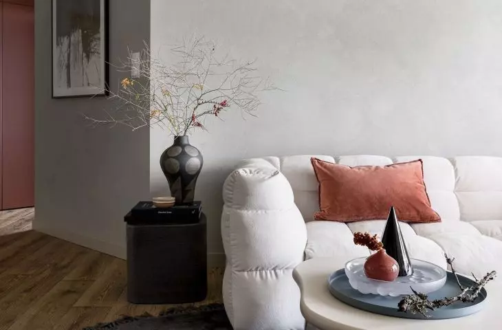 Couch in the living room