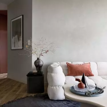 Couch in the living room