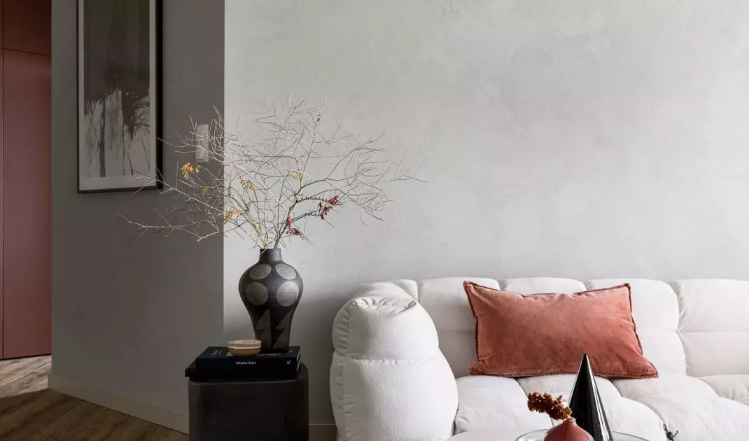 Couch in the living room