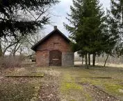 Forge located on the plot under development, 2022