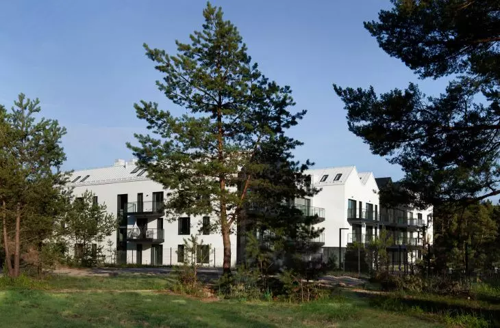The architect tried to preserve the entire stand of trees