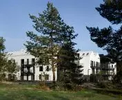 Architekt starał się zachować cały drzewostan