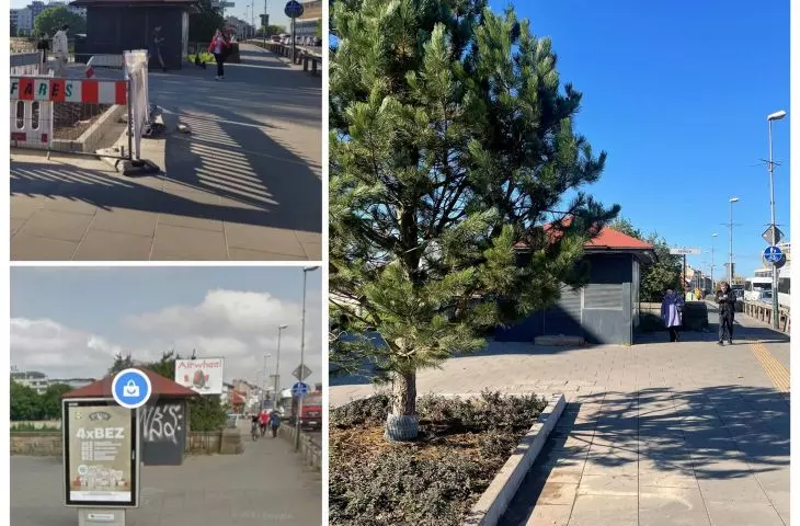 Kraków zrobił zamianę — dał drzewo a zabrał reklamę