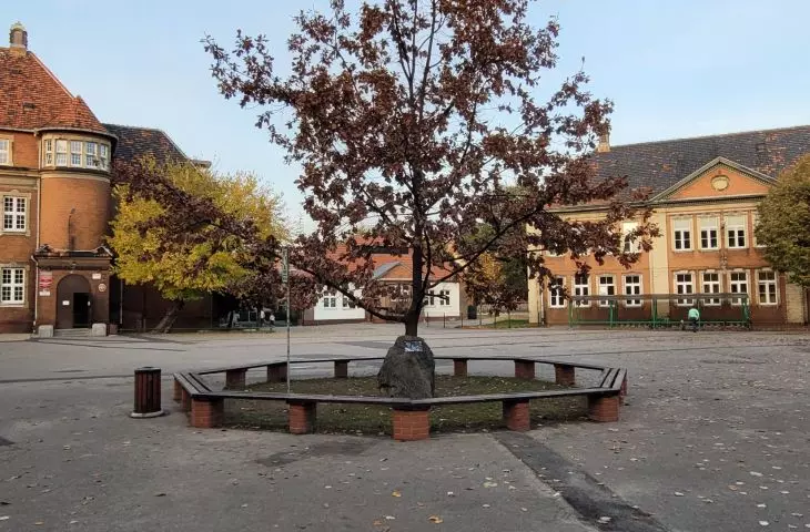 School complex on the corner of Jarochowskiego and Wyspianski Streets, present state