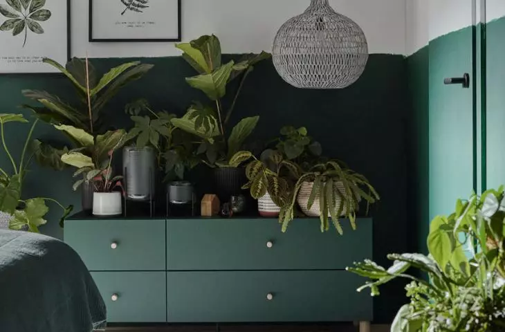 Green narrow RTV cabinet Creative
