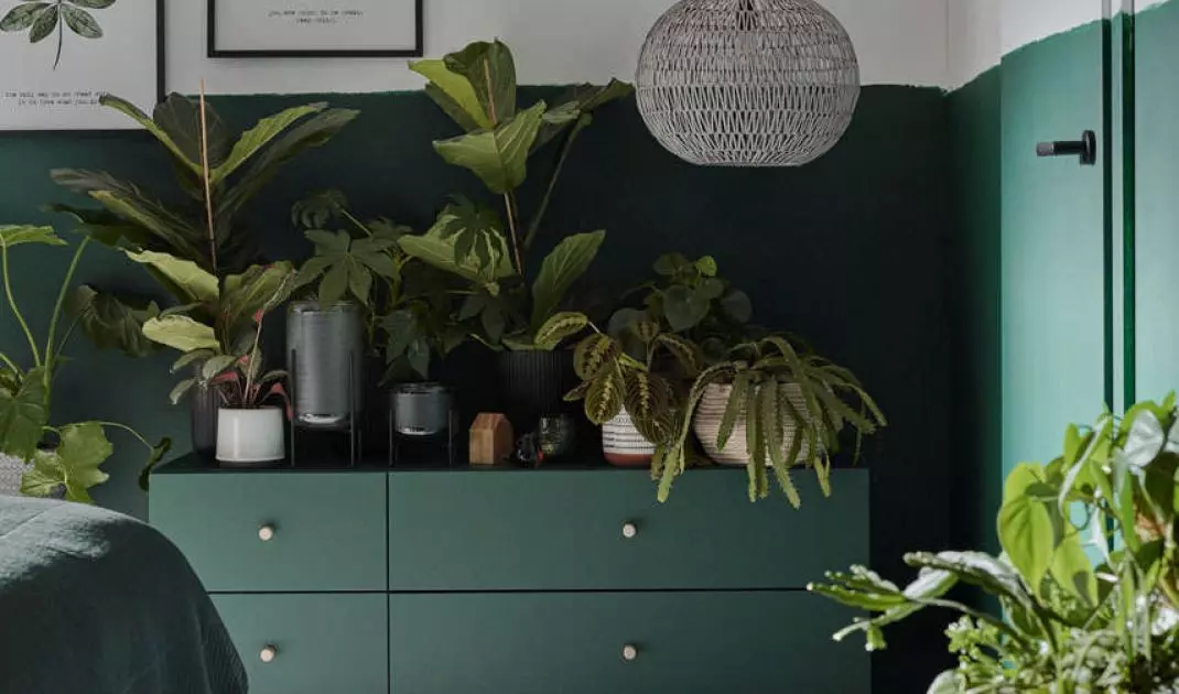 Green narrow RTV cabinet Creative