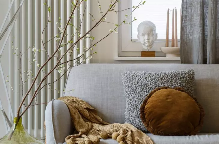Couch in the living room