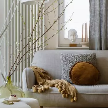 Couch in the living room