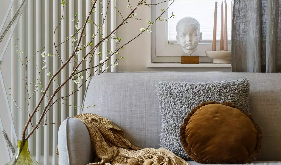 Couch in the living room