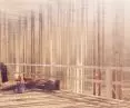 To watch the movement, you can sit on wooden logs