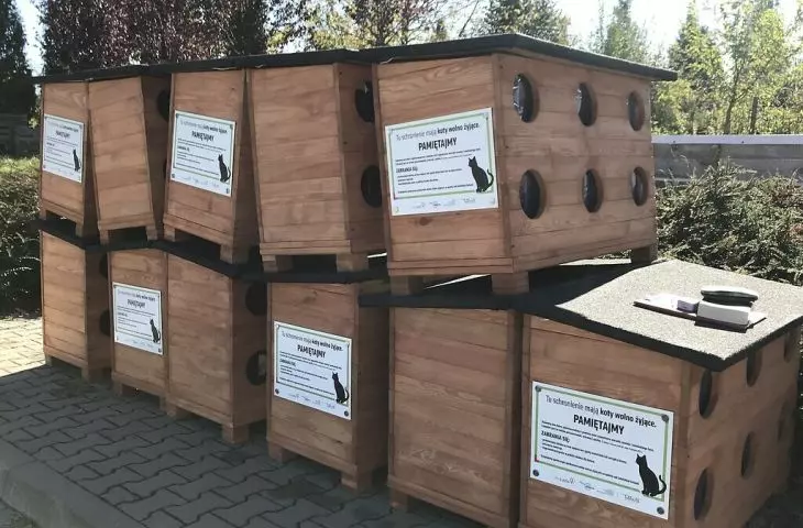 Kocie domki zrealizowane zostały w ramach budżetu obywatelskiego
