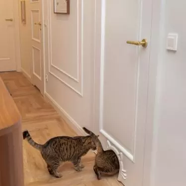 Cat passage