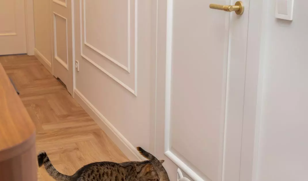 Cat passage