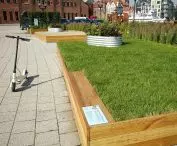 Pop-up garden on Olowianka, Gdansk, designed by Joanna Paniec