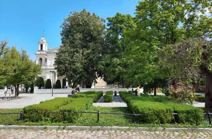 Design of street greenery in connection with the reconstruction of S. Kostka Potockiego Street in Warsaw
