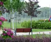 Teren rekreacyjny w Pruszczu Gdańskim, proj.: J. Paniec, A. Smółko